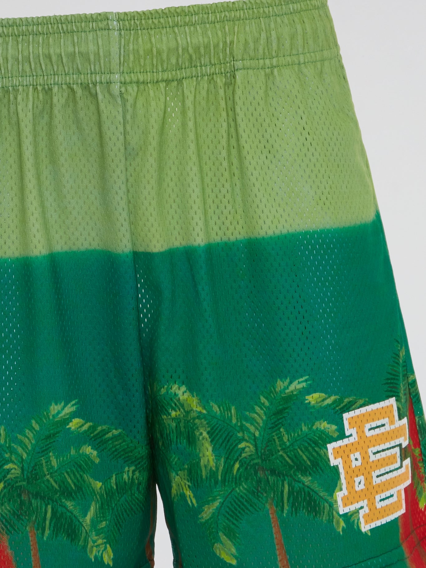 Tropical Print Waistband Shorts
