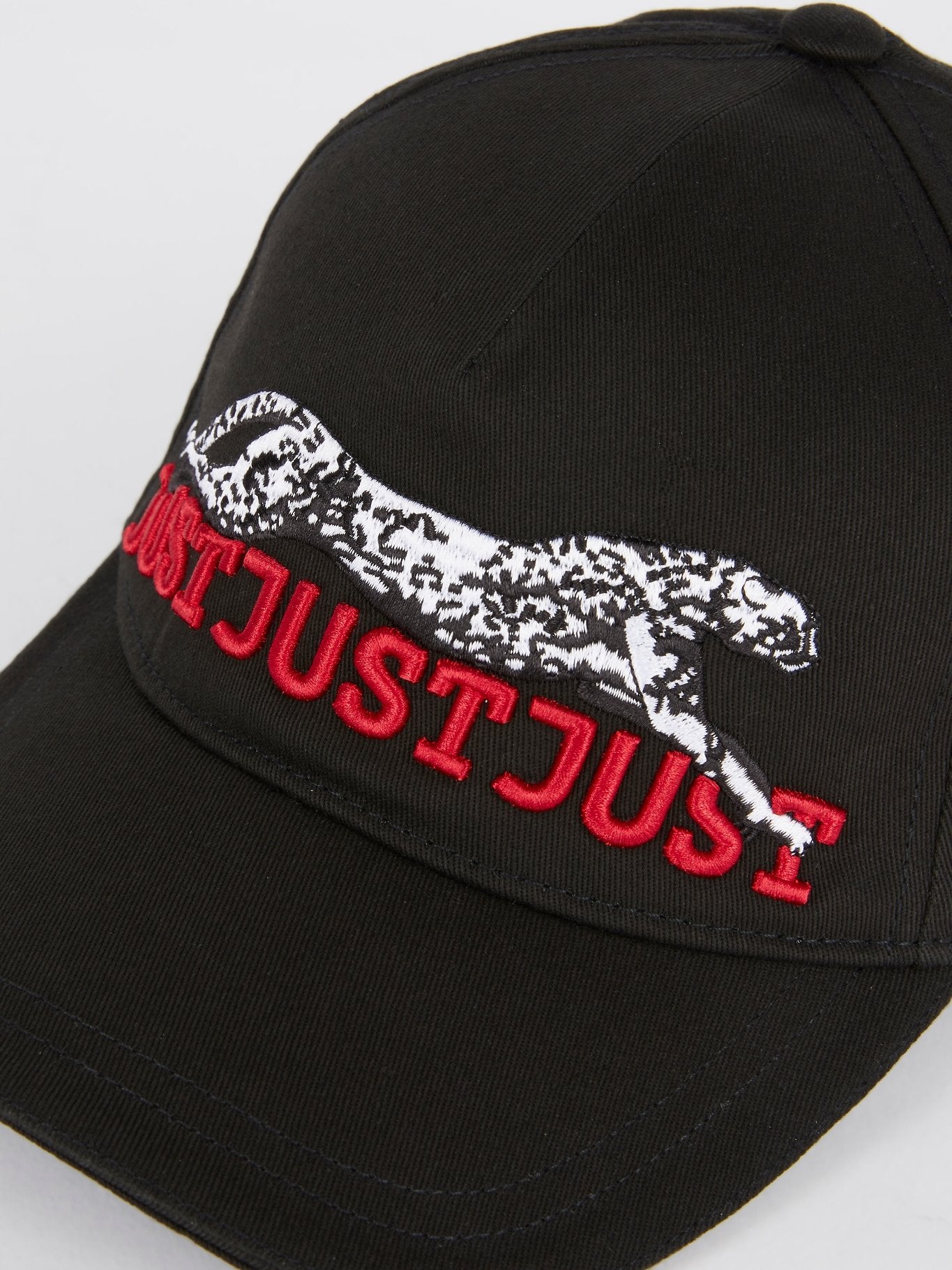 Leopard Embroidered Baseball Cap