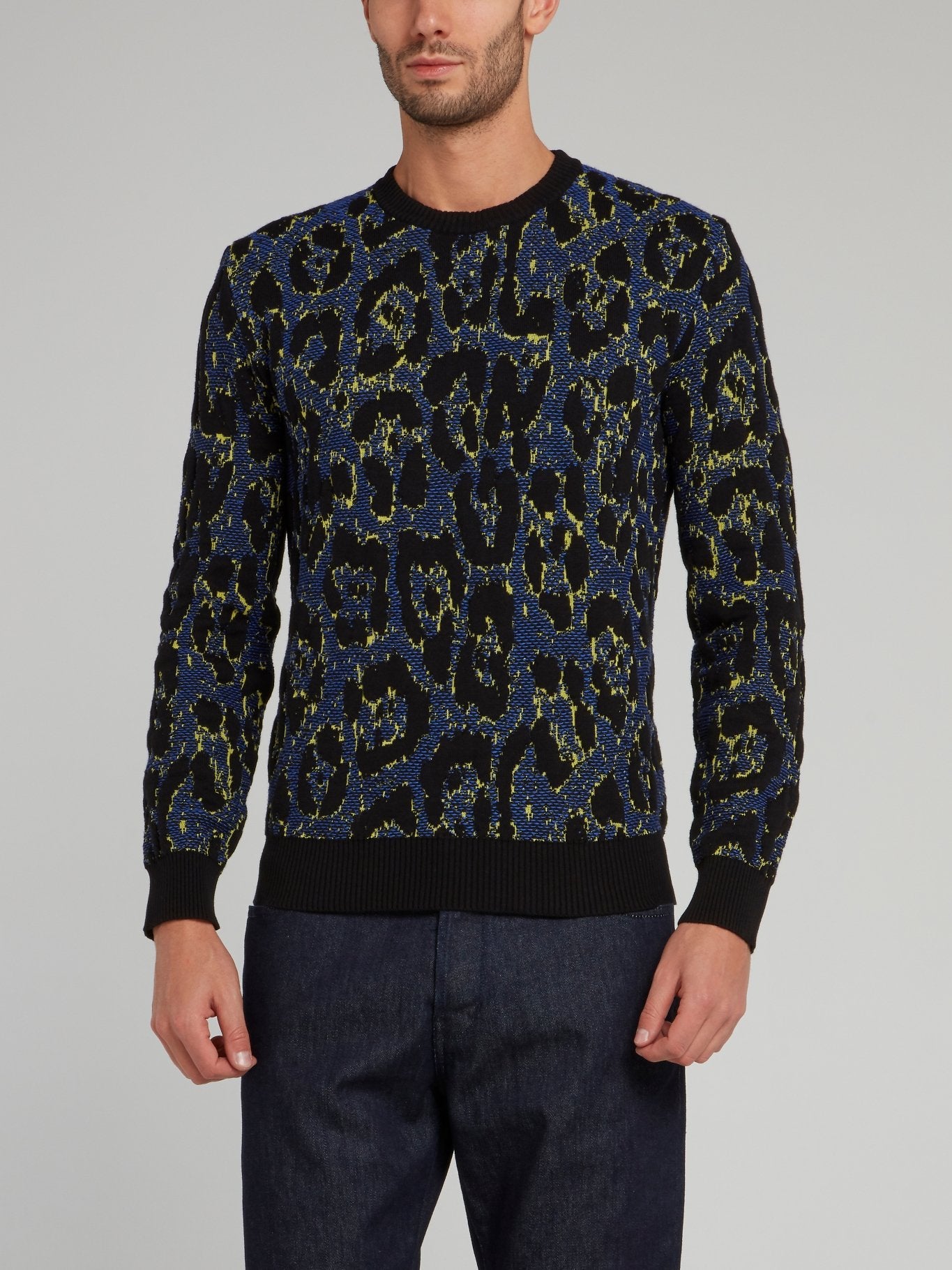 Leopard Print Crewneck Pullover