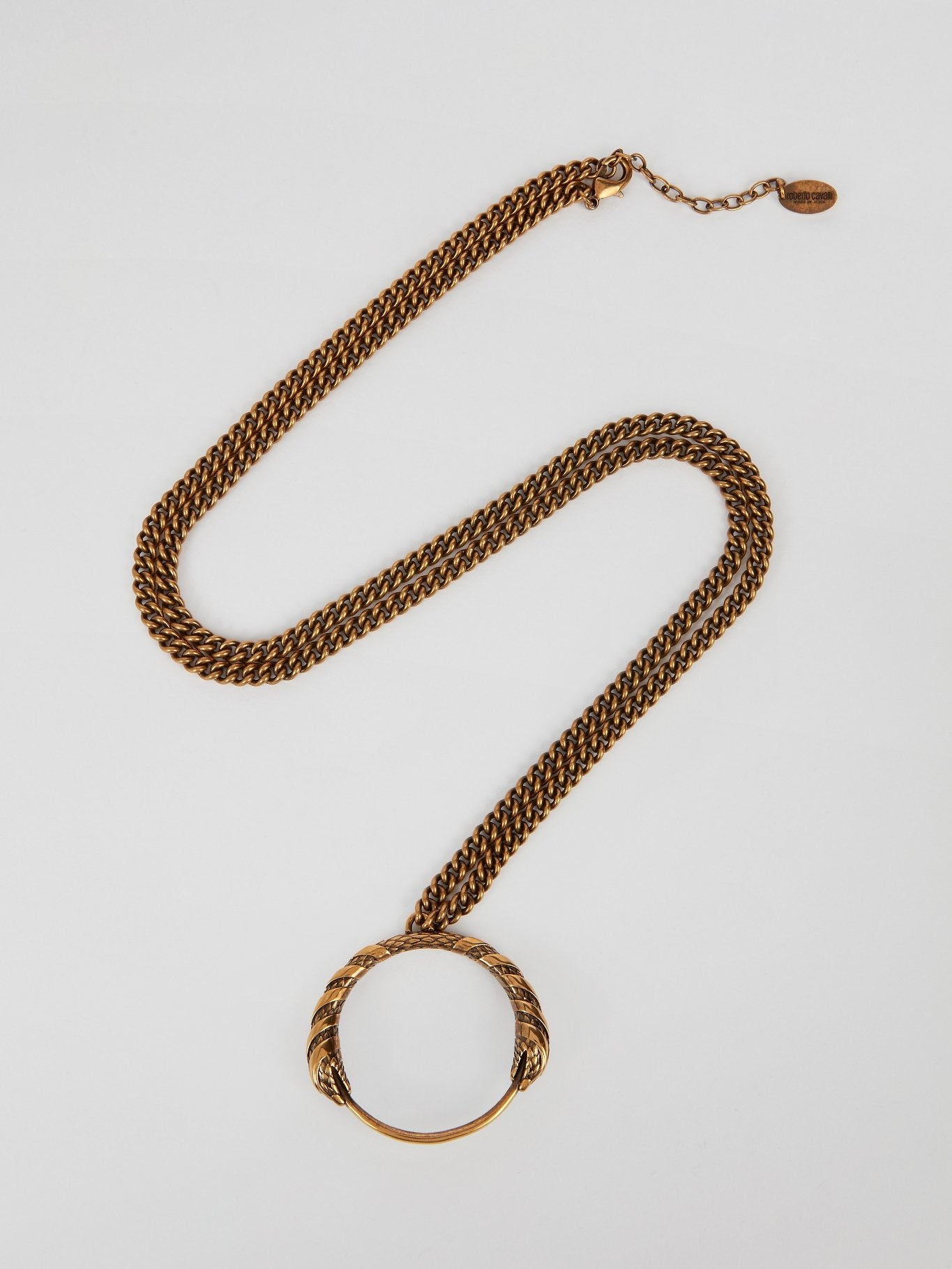 Podium Snake Pendant Link Necklace