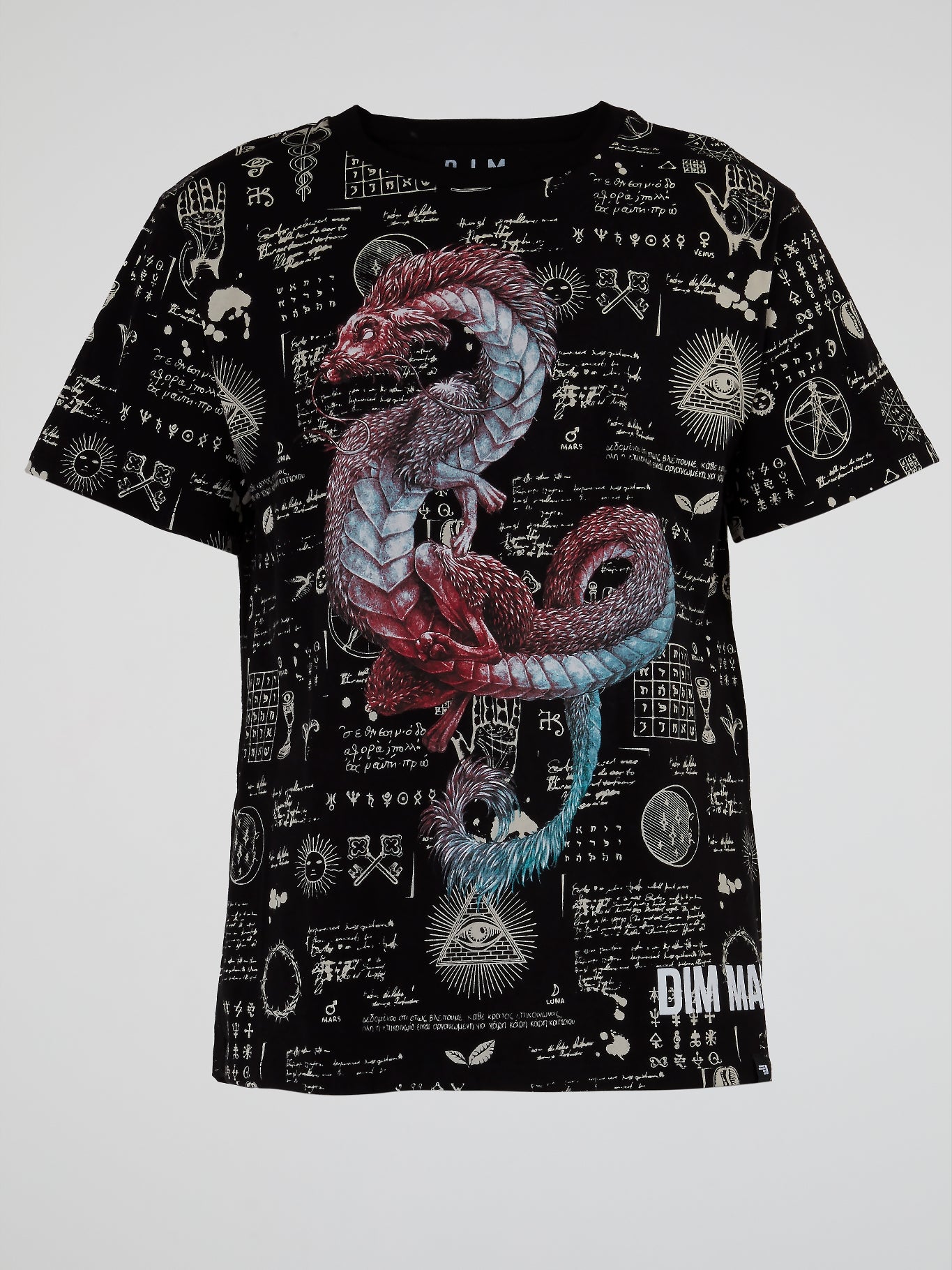 Bestiary Dragon T-Shirt