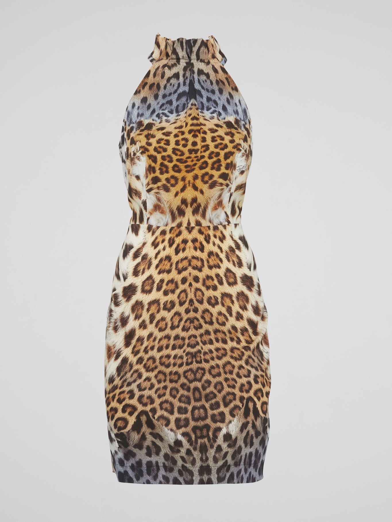 Leopard Print High Neck Dress