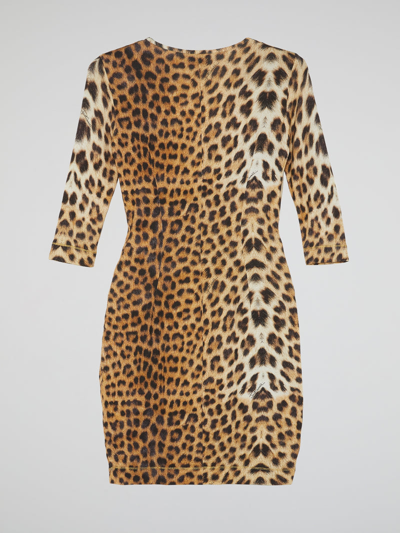 Leopard Print Scoop Neck Dress