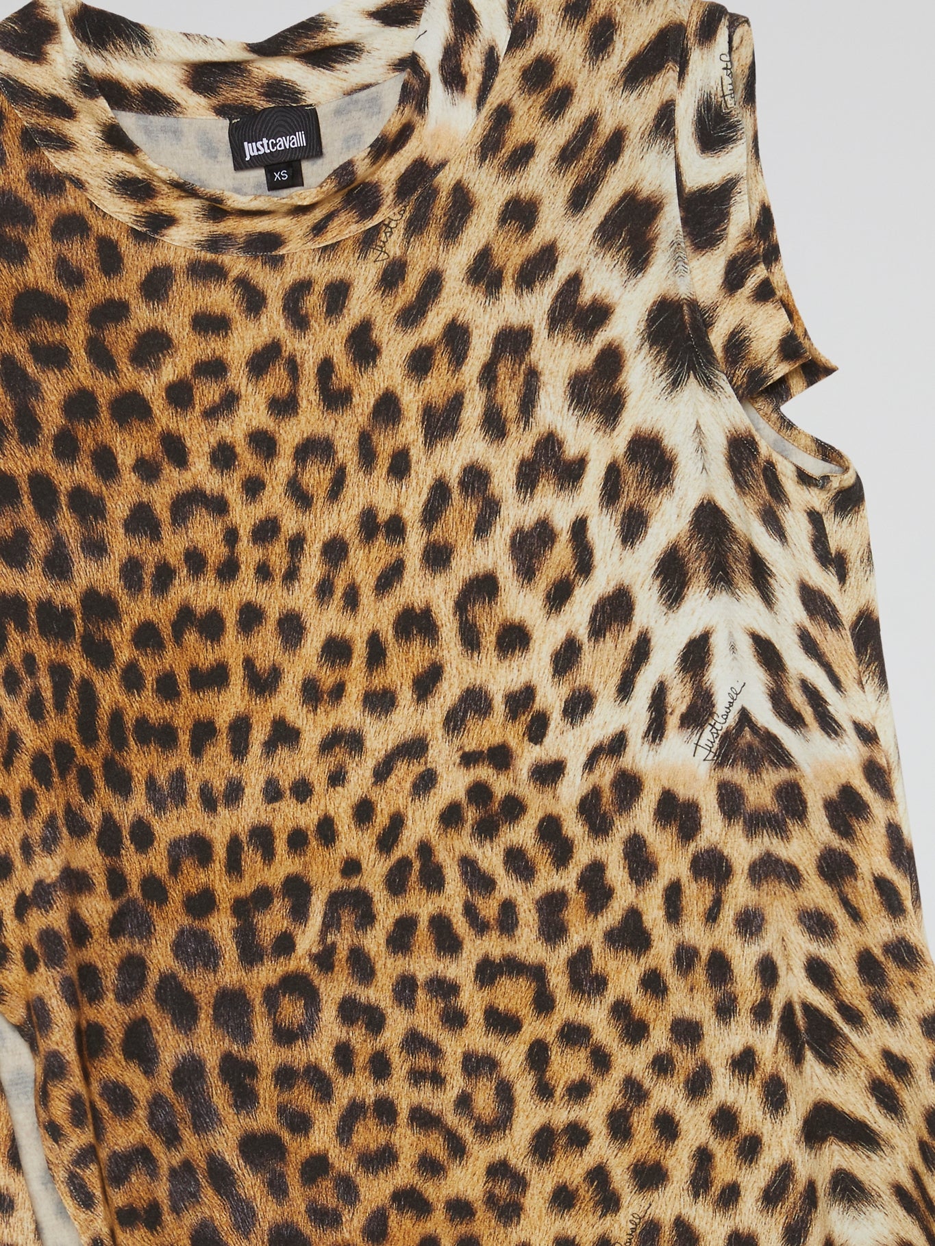 Leopard Print High-Low Top